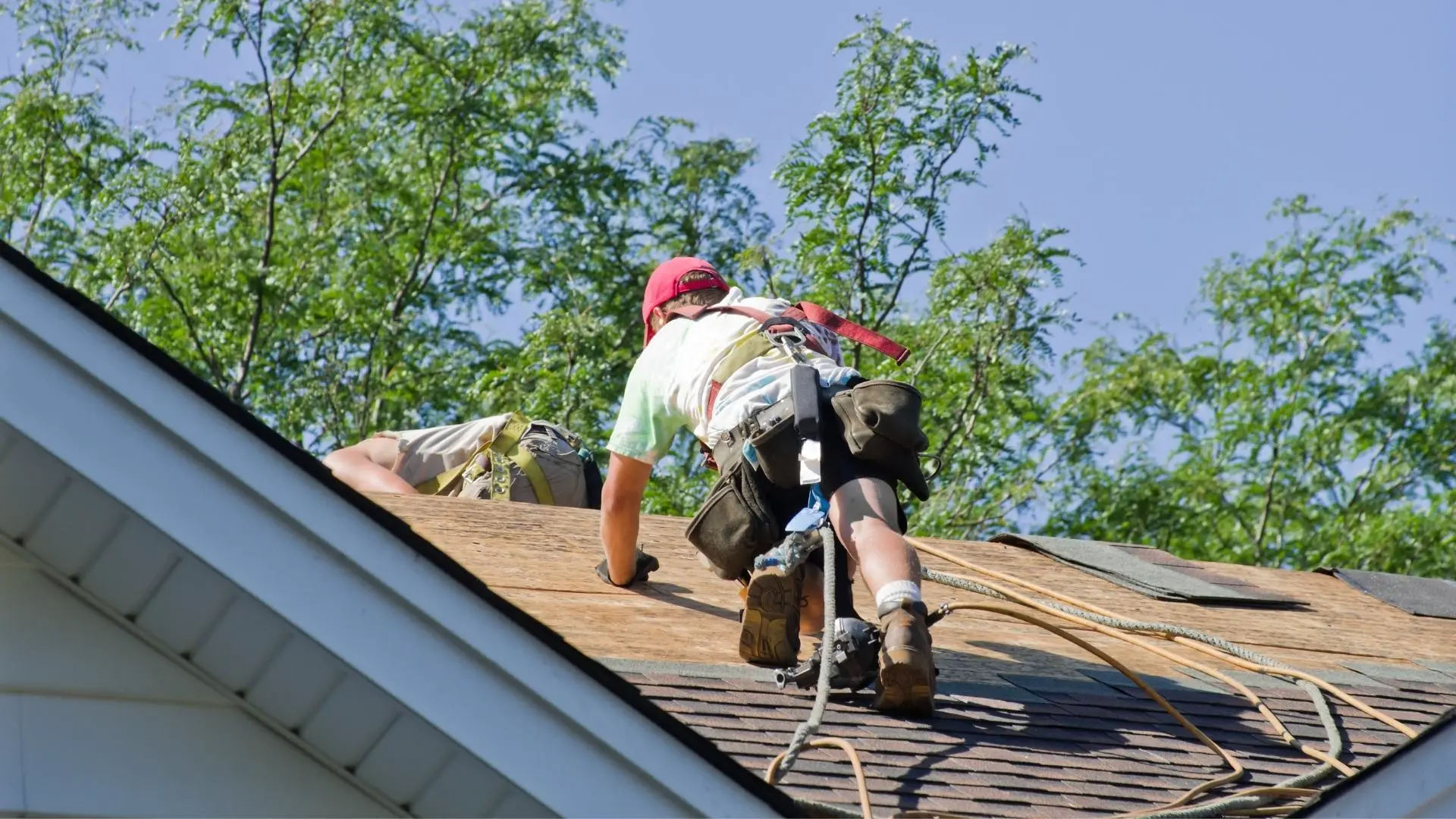 professional roof check